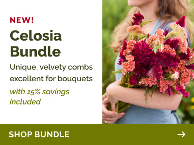 products celosia-bundle-rooster-pink-purple banner