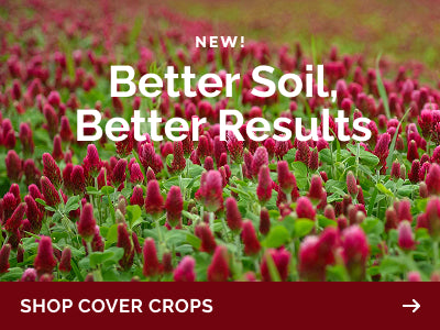 collections cover-crop-seeds banner