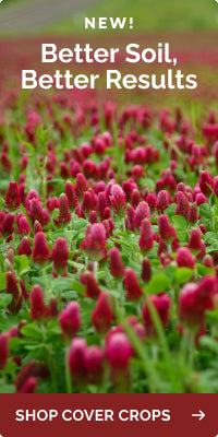 collections cover-crop-seeds banner
