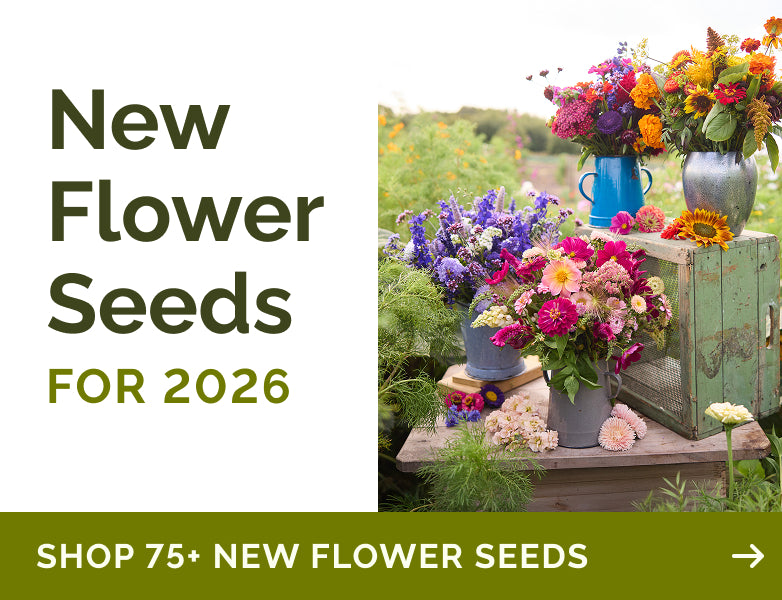 collections new-flower-seeds banner