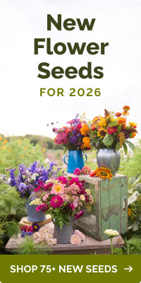 collections new-flower-seeds banner