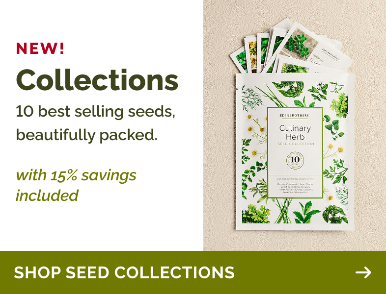 collections seed-collections banner