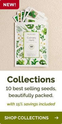 collections seed-collections banner