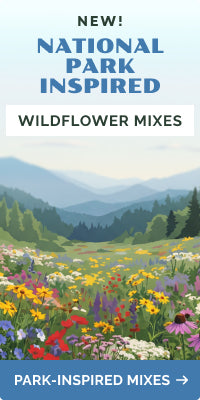 collections national-park-inspired-mixes banner
