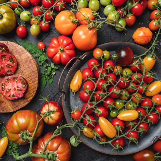 A variety of colorful Culinary Blend tomatoes, including red, yellow, and striped, are displayed on a wooden surface.