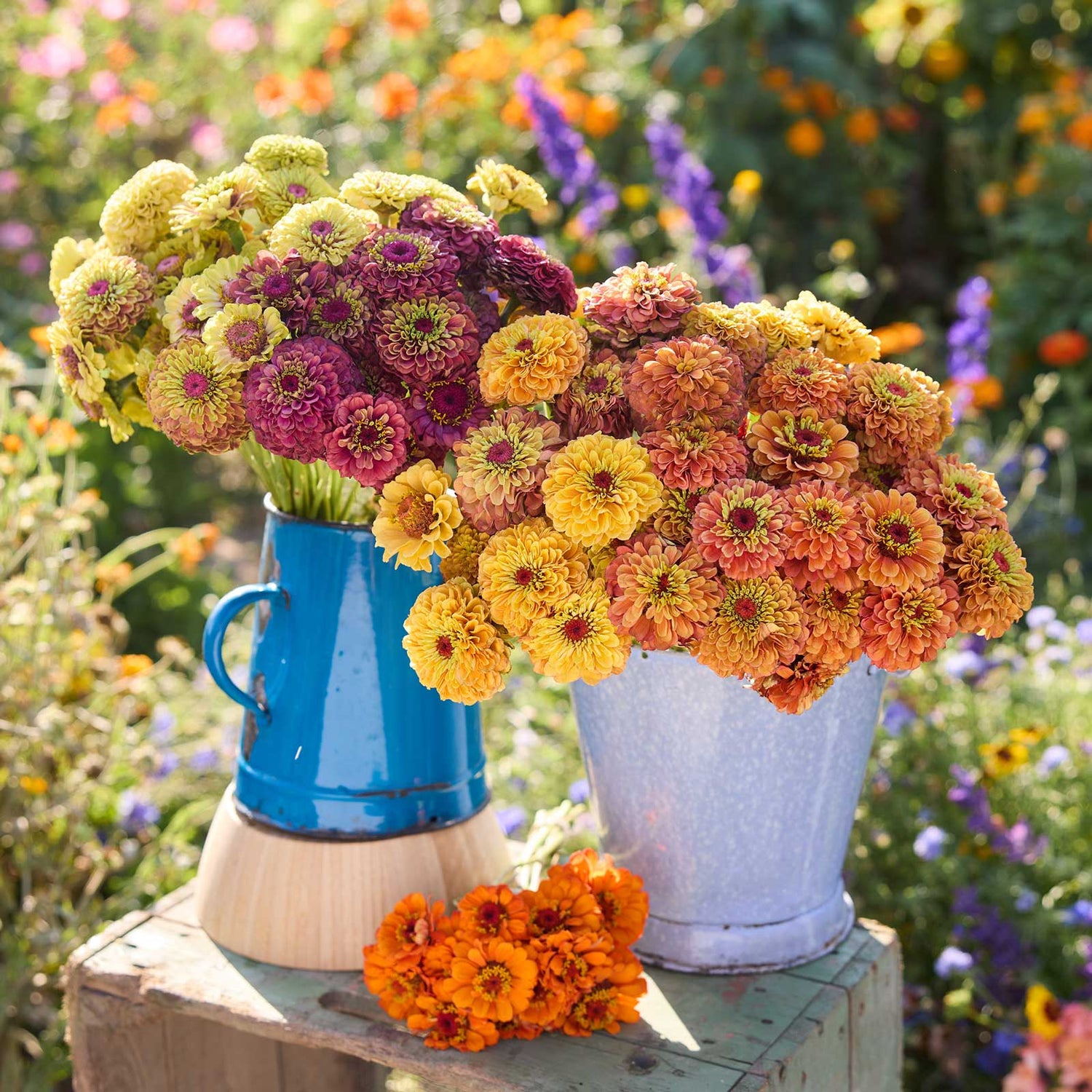 A bouquet of the zinnia bundle queeny series in metal vases in a garden setting